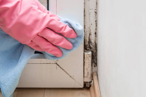 Mold Remediation for Vacation Homes in Fort Worth, TX